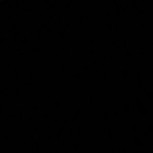 Meet your Posher, Reyna